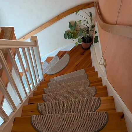 Mikael's Bed & Appartamento *